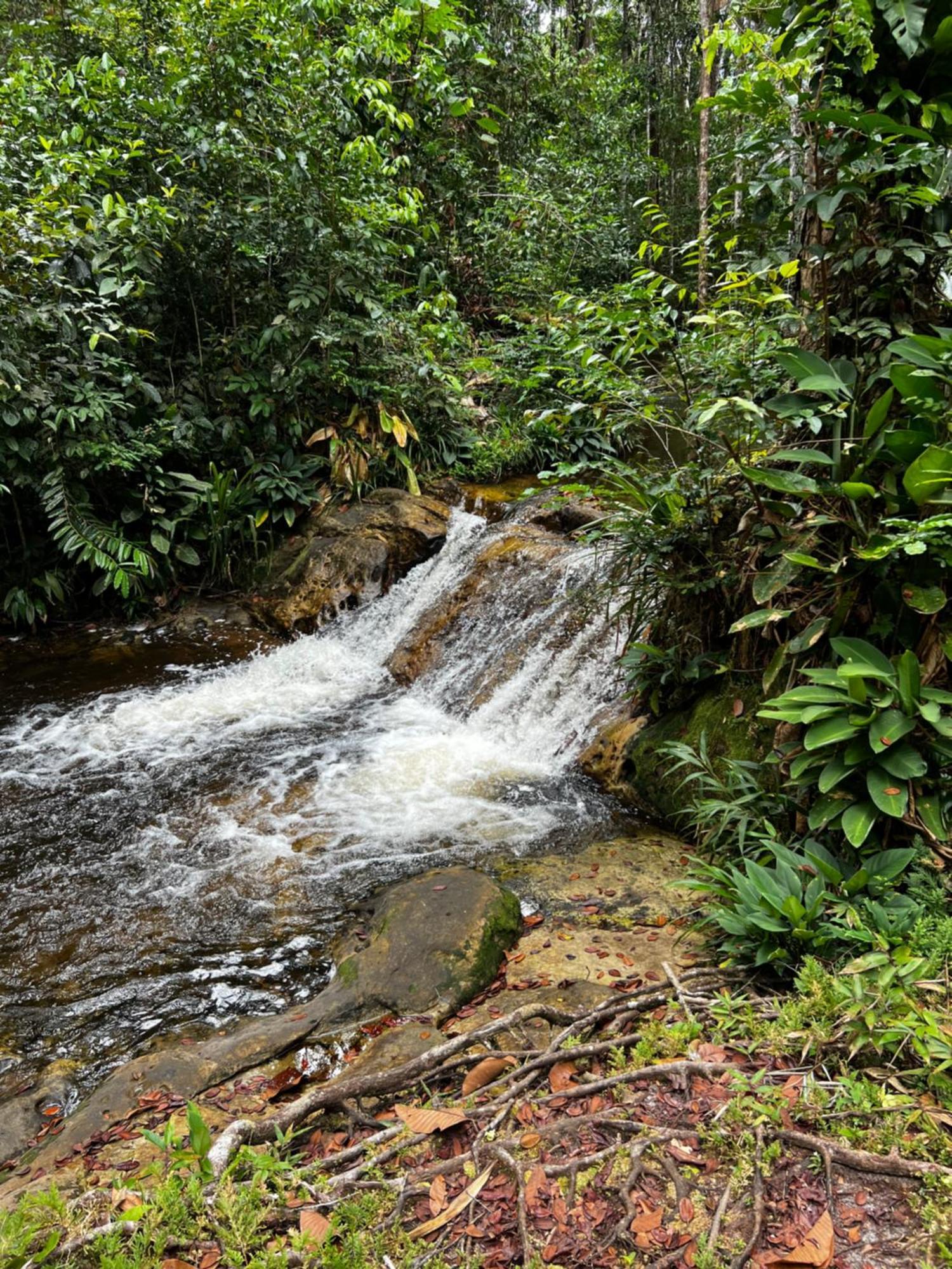 Pousada Paraiso Do Calango Azul بريزدنته فيغويردو المظهر الخارجي الصورة
